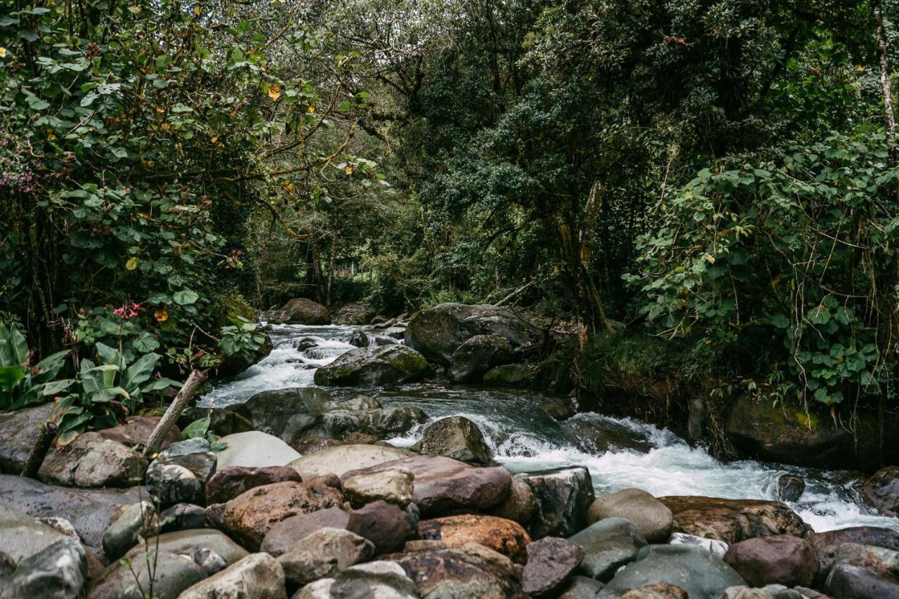 Trogon Lodge San Gerardo de Dota Dış mekan fotoğraf