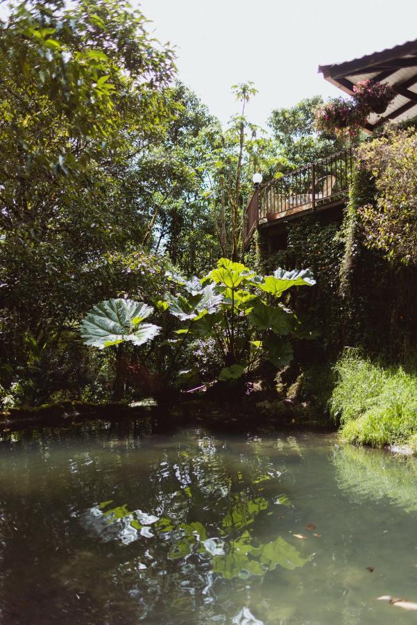 Trogon Lodge San Gerardo de Dota Dış mekan fotoğraf