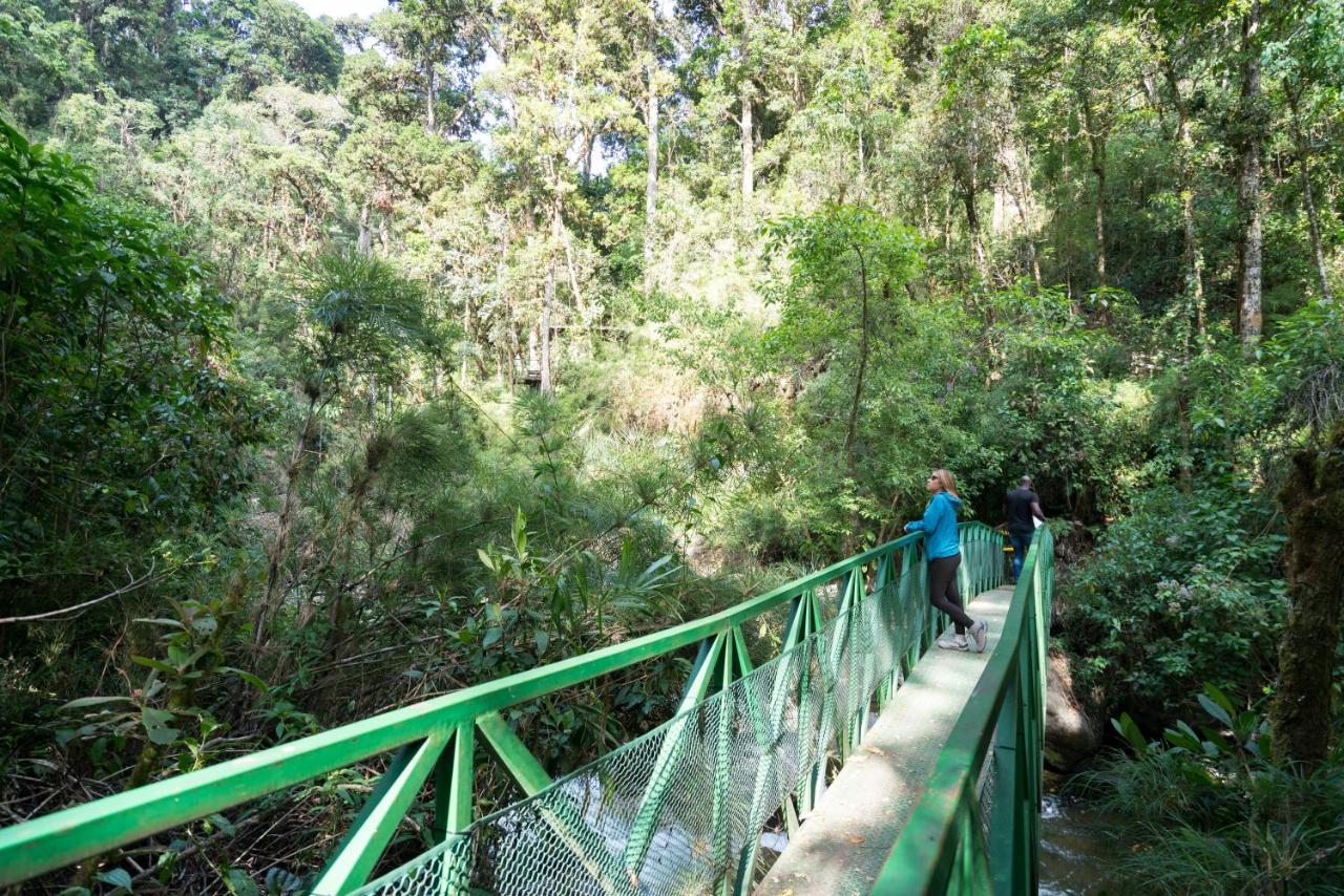 Trogon Lodge San Gerardo de Dota Dış mekan fotoğraf